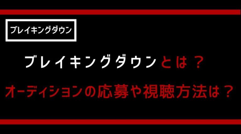 ブレイキングダウンとは？オーディションの応募や視聴方法は？ Youtuber大陸